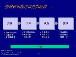 德勤管理咨询 信息化战略下的程序、技能与知识赋能
