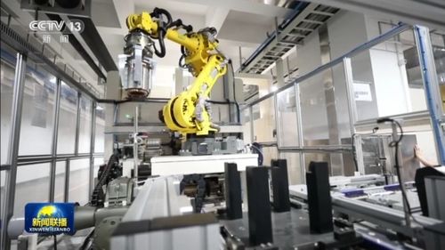 拓市场 优布局 强总部 浙江以信息技术咨询服务构建高水平开放新格局