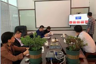 项目申报、财税审计及信息技术与融资咨询全方位解析